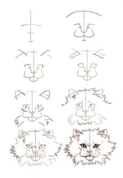 Учимся рисовать котов, кошек и котят Учимся рисовать котов, кошек и котят