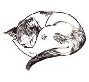 Учимся рисовать "Спящую кошку" Учимся рисовать "Спящую кошку"
