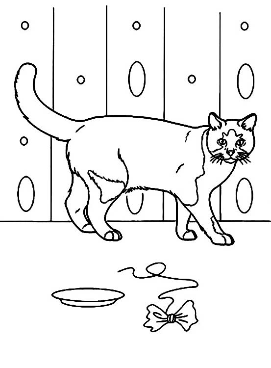 День кошек раскраска. Кошки. Раскраска. Кошка раскраска для детей. Играющий кот рисунок. Раскраска кошка для дошкольников.