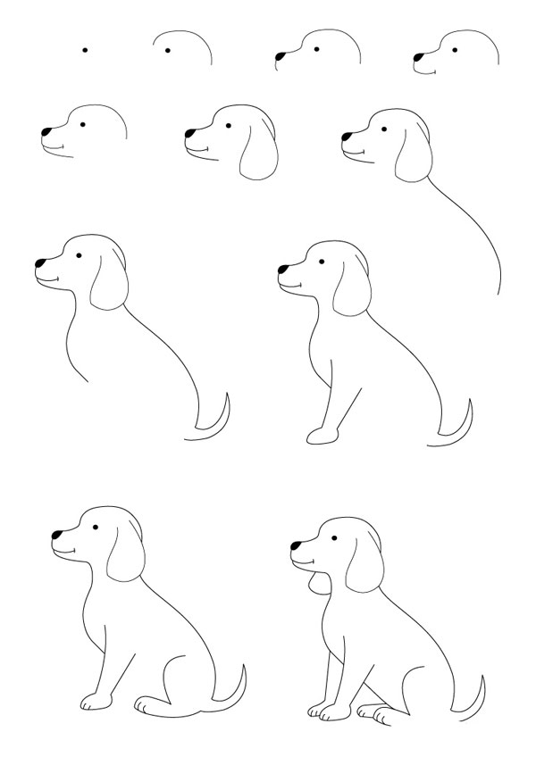 Нарисовать собаку для детей легко карандашом начинающих