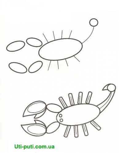 Как нарисовать скорпиона поэтапно | DRAWINGFORALL.RU