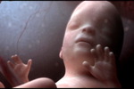 Неделя 7. Физиологические изменения, видео для беременных, беременность видео